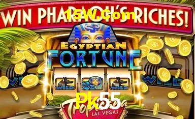 Casino Ao Vivo Pk55