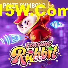 Premium Interface Pk55